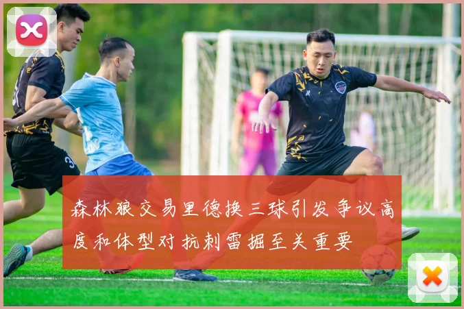 森林狼交易里德换三球引发争议高度和体型对抗刺雷掘至关重要