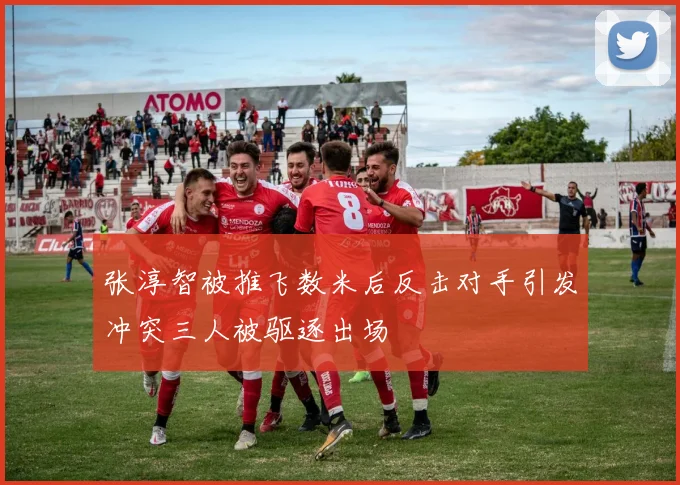 张淳智被推飞数米后反击对手引发冲突三人被驱逐出场